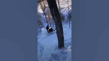 Trump is at it again 🤙🏼 Follow the TT! #polaris #snowmobile #skidoo #rmk