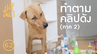 เมื่อเราทำตามคลิปดัง (ภาค 2) - มหึหมา EP62