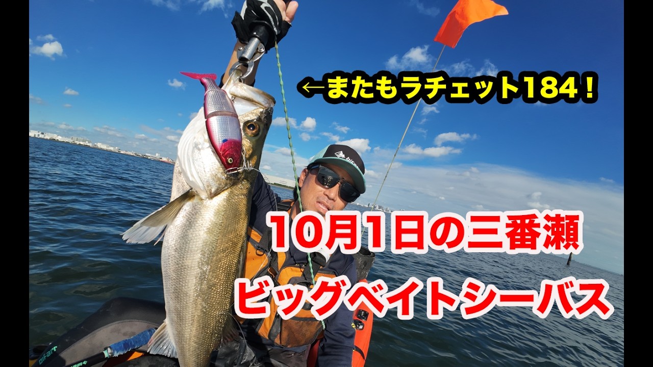 10月1日の三番瀬ビッグベイトシーバス、やはり今はラチェット184
