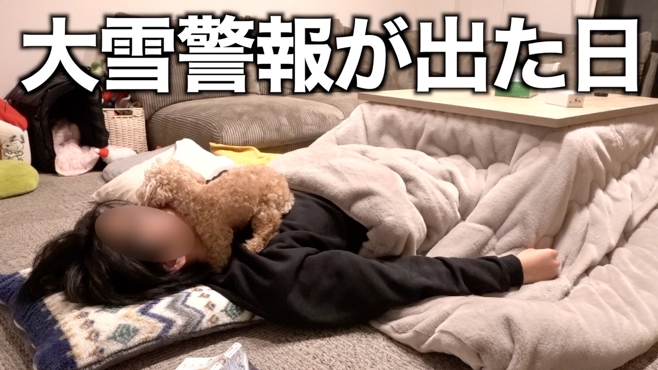 大雪が降るといつも以上に甘えん坊モードなトイプードル