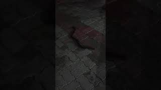 कोबरा साँपो की ऐसी लड़ाई कभी नही देखी होगी। Snake cobra  Fight