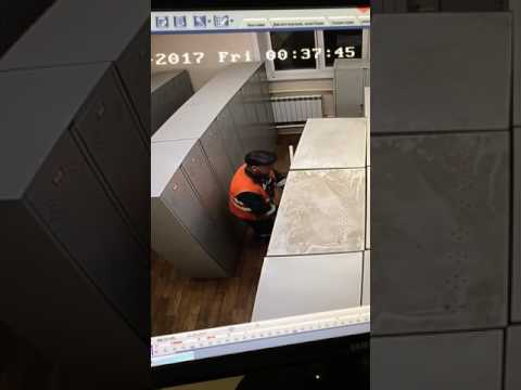 Вычислили крысу в коллективе Вычислили крысу в коллективе