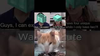 Wait a minute... #minecraft #memes #funnymemes #fyp #video #viralvideo #shorts #cat