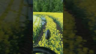 VID 20210601 215156 1