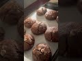 How to make fallout chocolate chip cookies-Part 2. Just in time for fallout s2e2 release. #fallout