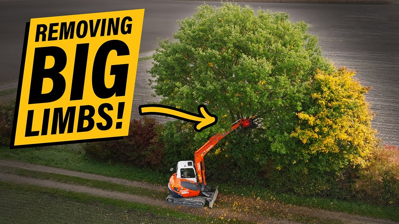 Hedge Row reducing with TMK 300 TMK Machinery YouTube