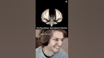 Awaken your Third Eye! Discover the power of the Pineal Gland and unlock your spiritual potential.