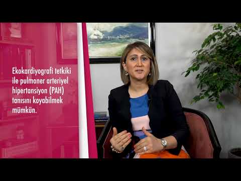 Pulmoner arteriyel hipertansiyon nedir?  - Doç. Dr. Hatice Betül Erer (Kardiyoloji Uz.)