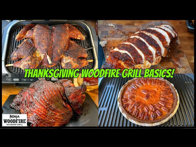 wood fire food ninja grill recipes