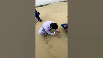 بلوچستان زرآباد ساحل درک دورهمی 