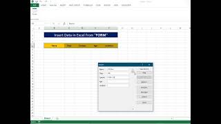 Data Entry Tools in Excel screenshot 2