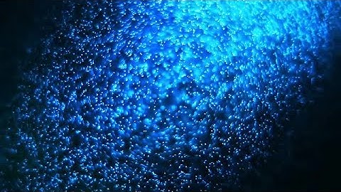 Blue Particles Background Stock Motion Graphics
