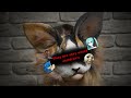 They at very weird… (part 1)