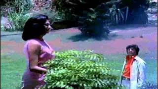 Chalte Chalte Mere Yeh Geet [Full Video Song] (HD) With Lyrics - Chalte Chalte