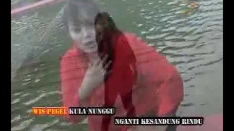 Ity Ashella