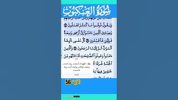 سورة العنكبوت الآية 56 #قرآن #quran #islamicstatus