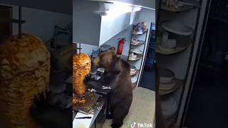 Юмор ржач до слез Приколы с животными 🤣#приколы #животные