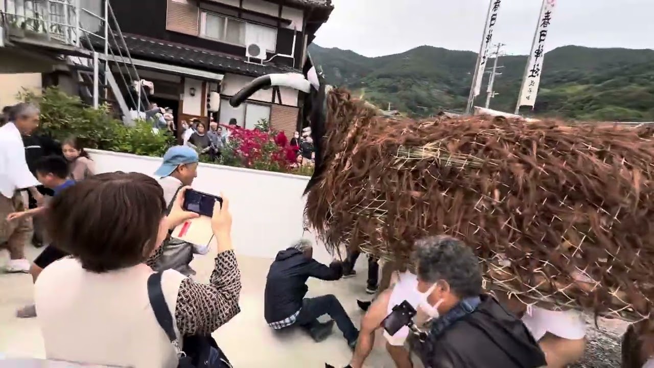 奇祭  狩江秋祭り  午後その①   牛鬼  大暴れで逃げ惑う人達 超危険  牛鬼注意  春日神社  西予市 明浜町 (2025.10.25)    @karie_n_joy