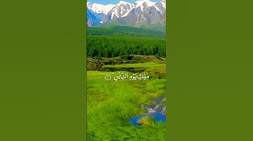 الحمد الله رب العالمين 💚 سورة الفاتحة 🌹حالات واتس اب قرآن كريم