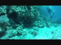 Egypt  :  Scuba Diving in Hurghada - Red sea - Egypt