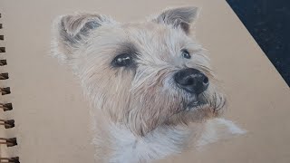 Drawing a dog - terrier @EveHarveyArt