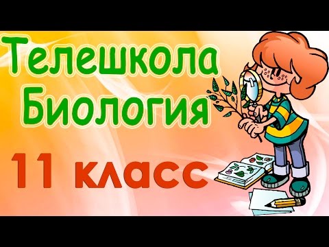 Борьба за существование. Естественный и искусственный отбор