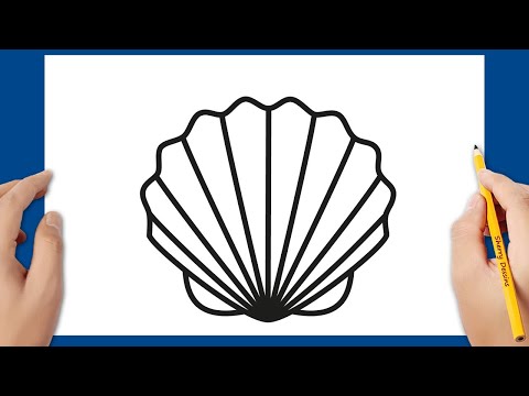 Vidéo: Comment Dessiner Un Coquillage