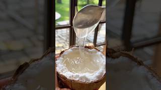 Kelapa Sudah Berlendir Malah Jadi Makanan Favorit