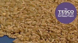 Perfect Pasta: what is pasta made from?