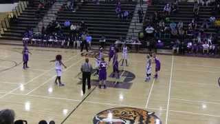 Brittanie Evans Basketball