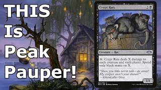 WE DON'T NEED ZETA CARDS TO CRUSH LEAGUES!  Pauper Golgari Gardens MTG