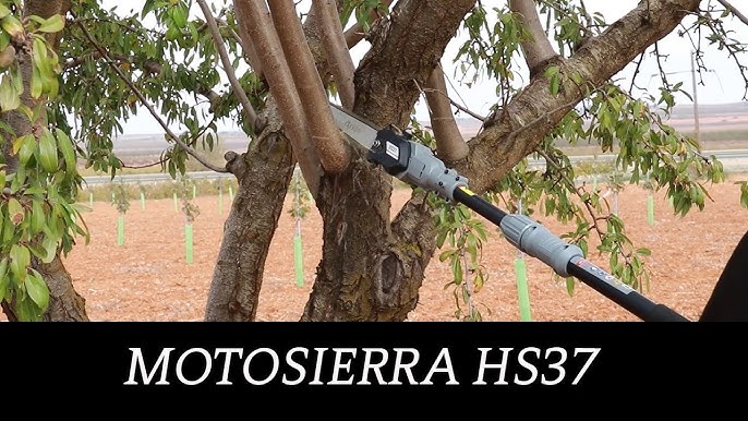 Sramatore ARVIPO HS37 Motosega con Asta Telescopica a batteria per potatura  Professionale 