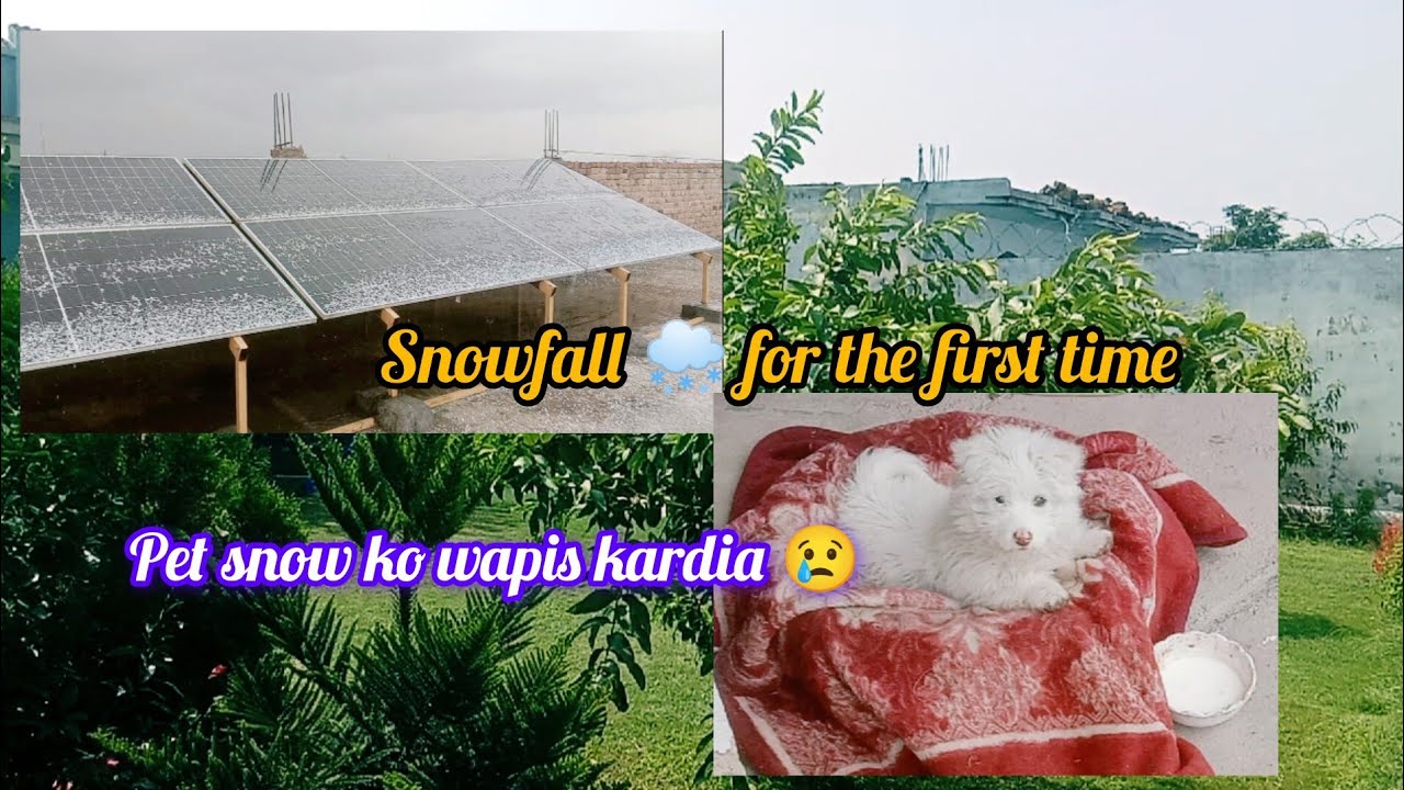 Meri Zindagi mein pihli baar snowfall howi❄️ || pet snow ko wapis kardia 😢