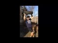 THE NEXT BIG NAME IN DANCING (MUSIC VIDEO) AARON BODEGA