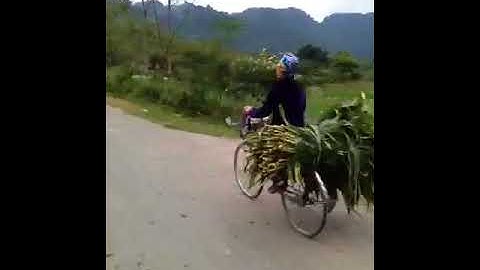 Theworldtulinh cùng Xã Phúc Sơn Huyện Chiêm Hoá Tỉnh Tuyên Quang Việt Nam và khắp nơi trên toàn Thế