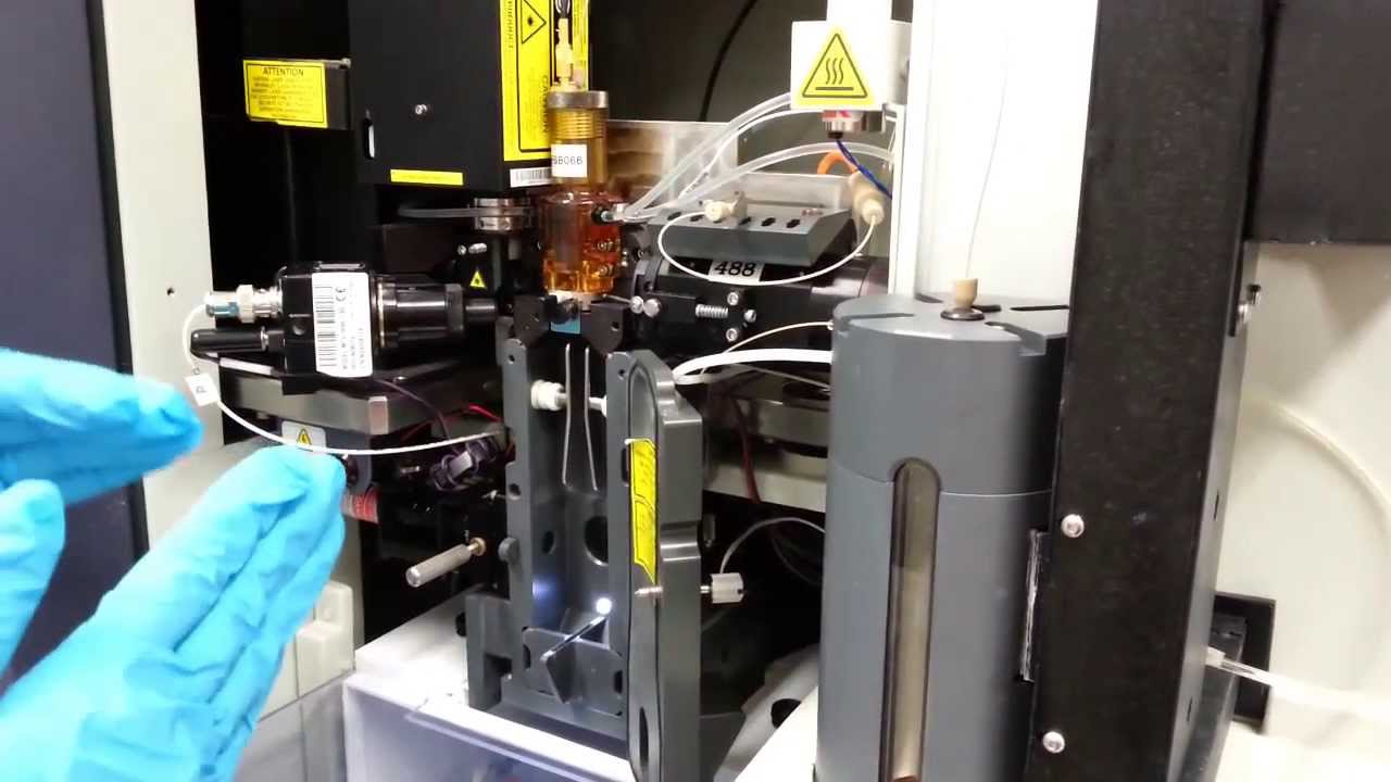 Fluorescenceassisted cell sorting and Flow Cytometry YouTube