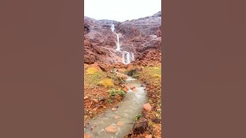 اللهم اغفر لأبي  كما رباني صغيرا واجعلني بار به #القران_الكريم #تلاوة_خاشعة #اكسبلور #duet #answer