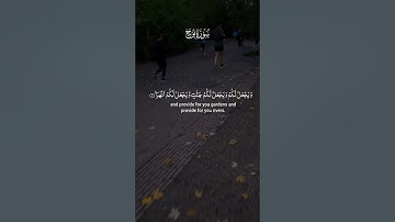 تلاوة عطرة لآيات من كتاب الله #القرآن_الكريم #القرآن #المصحف #الله #اكسبلور #foryou #راحة_نفسية #fyp