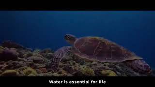 Fibsen Promotional Video #savewater #smartwater
