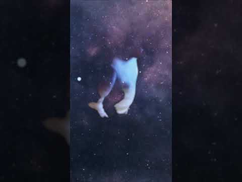 برومو اصاحب مين