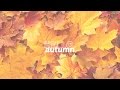 Hello, Autumn! | Polly