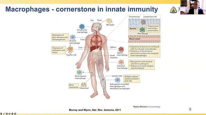 Myeloid Network Seminar Series - June 8, 2023