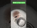 The INSIDES of a diesel fuel filter #tonysmarine #marinediesel #boat
