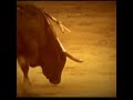Te Dejo Madrid mp3