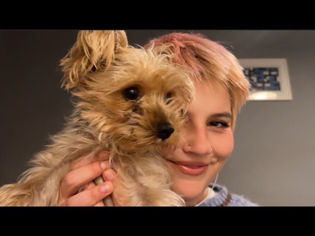 ASMR Mukbang 🍉 Eating Watermelon with My Yorkie Puppy 🐶 Cute & Relaxing