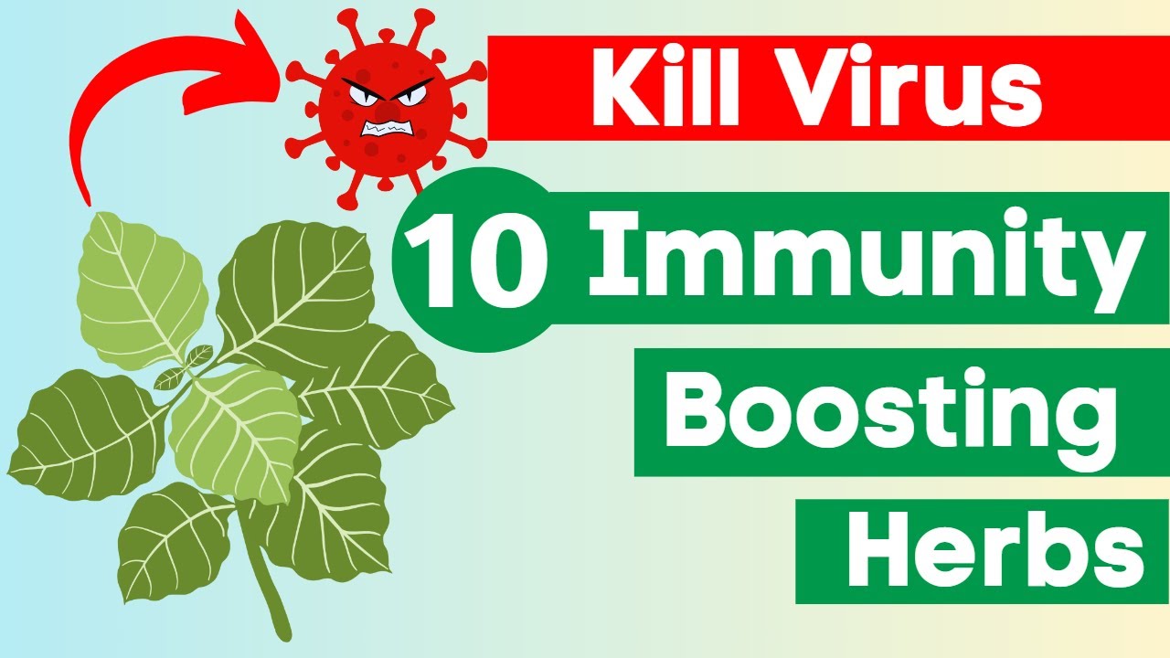 10 Herbs That Quickly Boost Your Immunity & Kill Virus YouTube