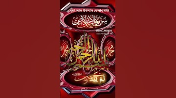 سورة الإخلاص | Surah Ikhlas | সূরা ইখলাস বাংলা অর্থসহ তেলাওয়াত #islamicreminder #islamicstatus
