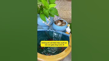 Cách Tạo Không Gian Thư Giãn Với Thác Nước Trong Bể Cá! #notashopvn #tuanaquarium #aquarium #fish