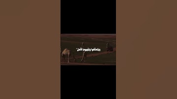 تلاوة|الشيخ محمد صديق المنشاوي سورة الحجر |رحمه الله |#المنشاوي#تلاوات#رمضان#تلاوات_خاشعة#تيك_توك|