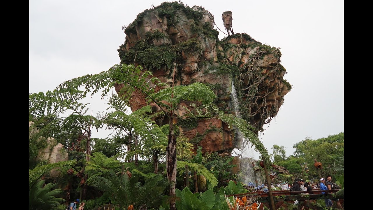 The Rain Can't Hold Us At Disney's Animal Kingdom YouTube